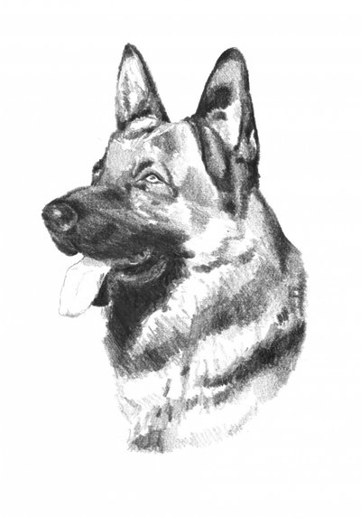  alkotó: Kulik