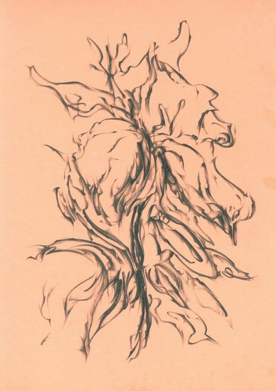  alkotó: Kulik