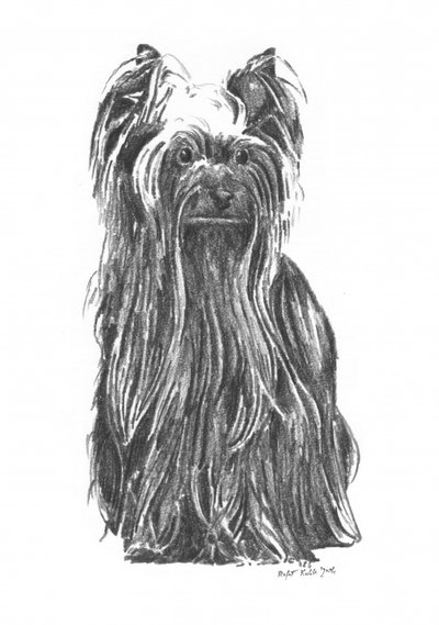  alkotó: Kulik