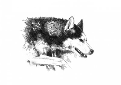 alkotó: Kulik