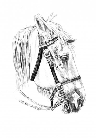  alkotó: Kulik