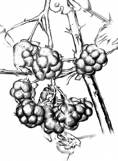 alkotó: Kulik