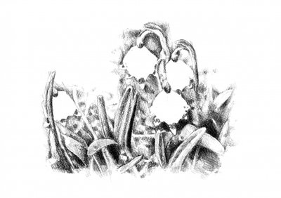  alkotó: Kulik