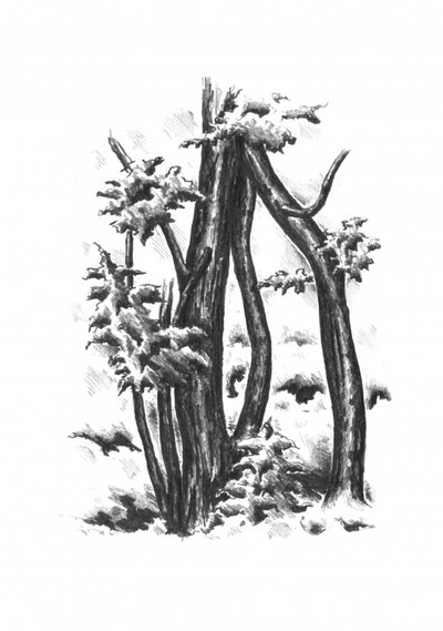  alkotó: Kulik