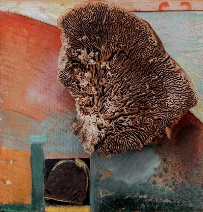 Cím nélkül (Merz kép korallal) alkotó: Kurt Schwitters