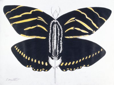 Tollas pillangó, 2004 (színes ceruza, papír) alkotó: Kurtis L. Miller