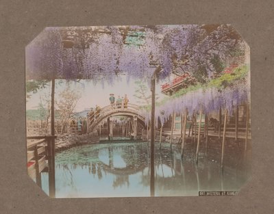 Emberek egy hídon, az előtérben virágzó wisteria, Kameido, Tokió, Japán alkotó: Kusakabe Kimbei