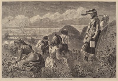 Bogyók gyűjtése alkotó: Lagarde after Winslow Homer
