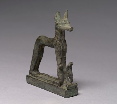 Sakál, ie 664-30 alkotó: Late Period Egyptian