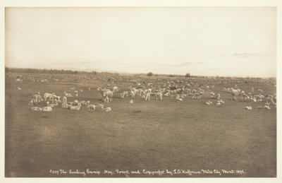 A báránytábor alkotó: Laton Alton Huffman
