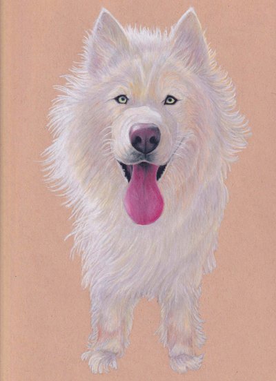 Snowky, 2021 (színes ceruza, tónusos papírra) alkotó: Laurie Michaels