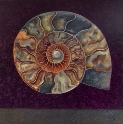 Ammonite, Magenta, 2021 alkotó: Lee Campbell