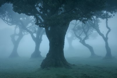 Ancient Order II, 2025 (fotó) alkotó: Lee Cooper