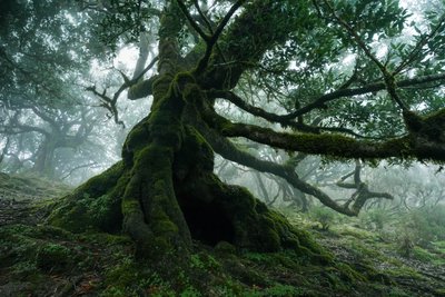 Forgotten Land, 2025 (fotó) alkotó: Lee Cooper