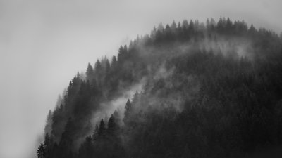 Greenwitch Way, 2022 (fénykép) alkotó: Lee Cooper