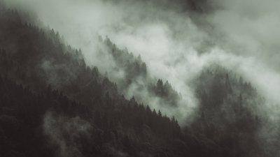 Tangled, 2022 (fénykép) alkotó: Lee Cooper