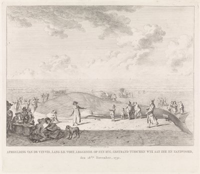 Finom bálna a zandvoorti tengerparton A Wyk aan Zee és Zandvoord között rekedt Vin-Vis (...) képe, 1791. november 18. (cím az objektumon) alkotó: Leendert Overbeek