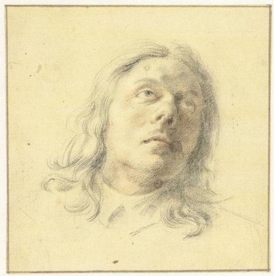 Az ember feje, felnéz alkotó: Leendert van der Cooghen
