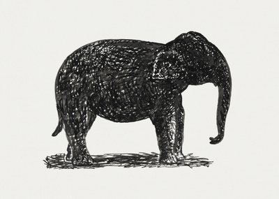 Elephant (kb. 1891–1941) alkotó: Leo Gestel