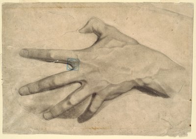 Rajz, Kéz-tanulmány, 1881-92 alkotó: Leon Dabo
