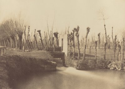 Tájkép, Montebello,c. 1860 (fotó) alkotó: Léon Gérard