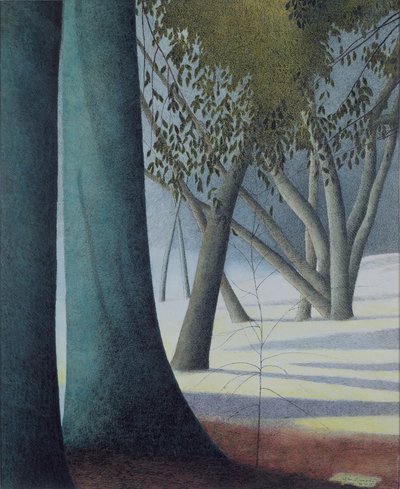 Bükk törzsek alkotó: Leon Spilliaert