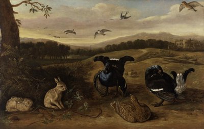 Fekete vad, nyulak és fecskék a parkban, 1700 körül (olaj, vászon) alkotó: Leonard Knyff