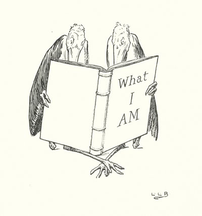 Johnny Crow kertjében (litográfia) alkotó: Leonard Leslie Brooke