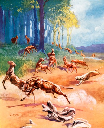 Jelenet a ló evolúciójából (színes litográfia) alkotó: Leonard Robert Brightwell