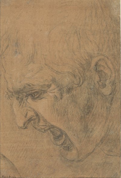 Egy sikoltozó férfi feje alkotó: Leonardo da (follower of) Vinci