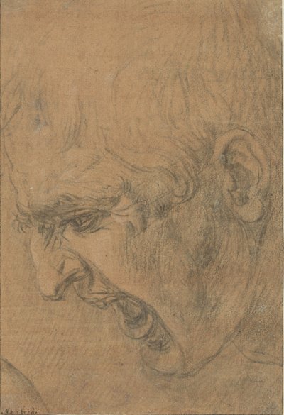 Egy sikoltozó férfi feje alkotó: Leonardo da Vinci (follower of)