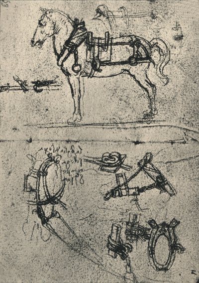 A Harnessed Cart-Horse and Studies of Harness, c1480 1945 alkotó: Leonardo da Vinci