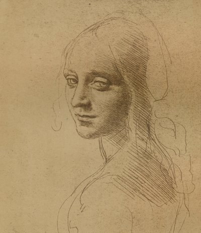Egy női fej, c1472-c1519 1883, alkotó: Leonardo da Vinci