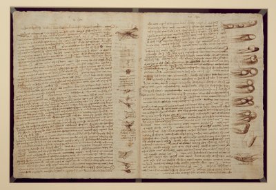 Egy oldal a Codex Leicesterből, 1508-12 (szépia tinta vászonpapíron) alkotó: Leonardo da Vinci