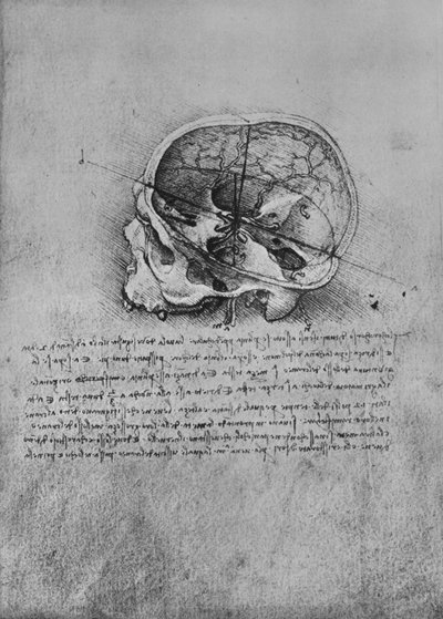 Egy koponya anatómiai rajza balra, c1480 1945 alkotó: Leonardo da Vinci