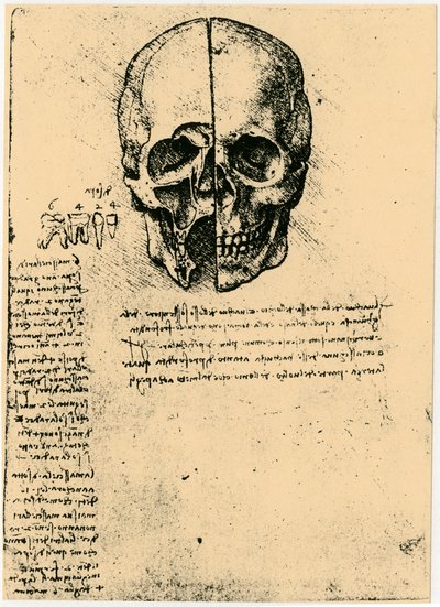 Egy emberi koponya anatómiai vázlata, c1472-1519 alkotó: Leonardo da Vinci