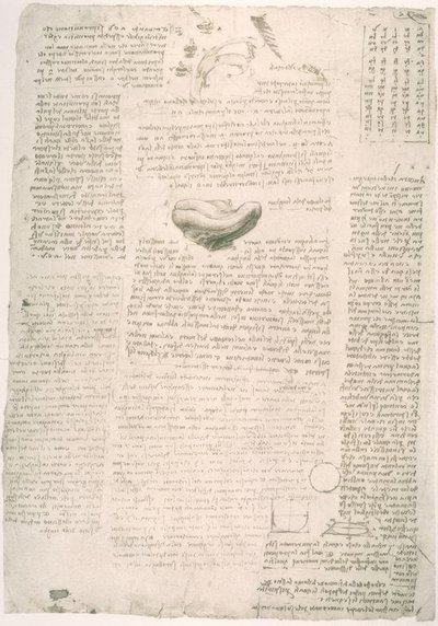 Anatomiestudien alkotó: Leonardo da Vinci