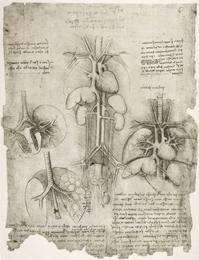 Anatomiestudien alkotó: Leonardo da Vinci