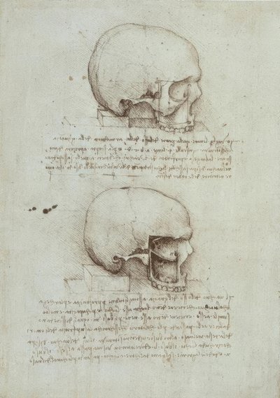 Anatomiestudien alkotó: Leonardo da Vinci