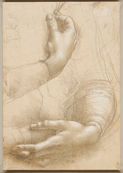 Karok és női kezek, c. 1480. alkotó: Leonardo da Vinci