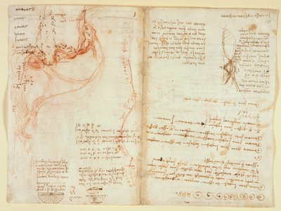 Arundel 263, f.148v alkotó: Leonardo da Vinci