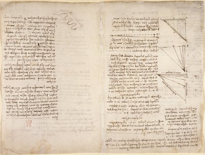 Arundel 263, f.216v, f.217 Jegyzetek és vázlatok a Codex Arundel-ből (toll és tinta papíron) alkotó: Leonardo da Vinci