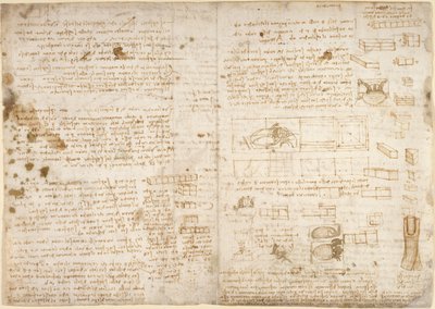 Arundel 263, f.223 Jegyzetek, diagramok és vázlatok a Codex Arundel-ből (toll és tinta papíron) alkotó: Leonardo da Vinci