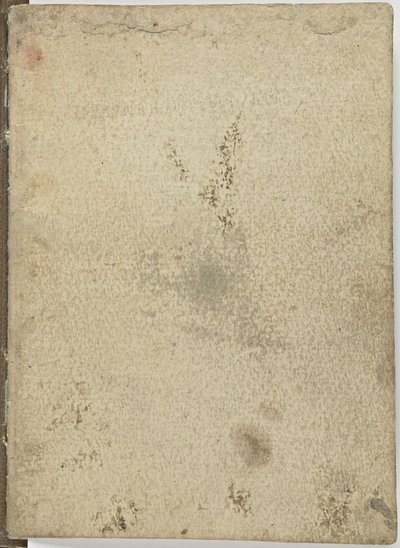 Madárrepülési kód, c. 1505-06, papír kézirat, cc. 18, Borító IV alkotó: Leonardo da Vinci