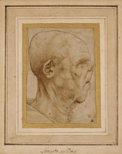 Egy idős férfi fejének karikatúrája, profilban jobbra, 1507 körül alkotó: Leonardo da Vinci
