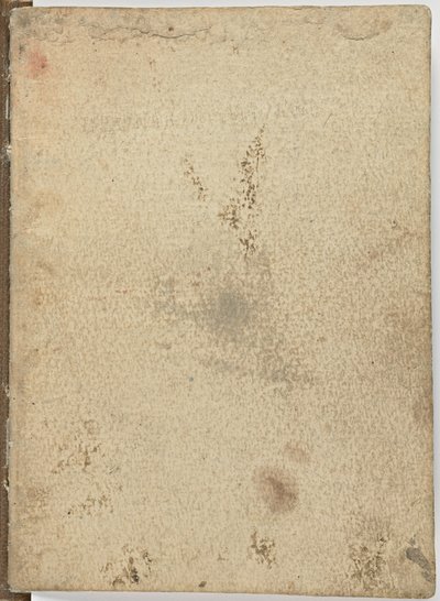 Kód a madarak repüléséről, c. 1505-06, papír kézirat, cc. 18, I. borító alkotó: Leonardo da Vinci