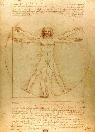 Da Vinci Vitruve Luc Viatour (vágott) alkotó: Leonardo da Vinci