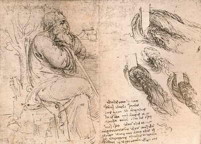 Rajz, amely a fürtökben lehulló haj ábrázolását illusztrálja, c1472-c1519 1883 alkotó: Leonardo da Vinci