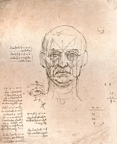 Az emberi alak arányainak elméletét illusztráló rajz, c1472-c1519 1883 alkotó: Leonardo da Vinci