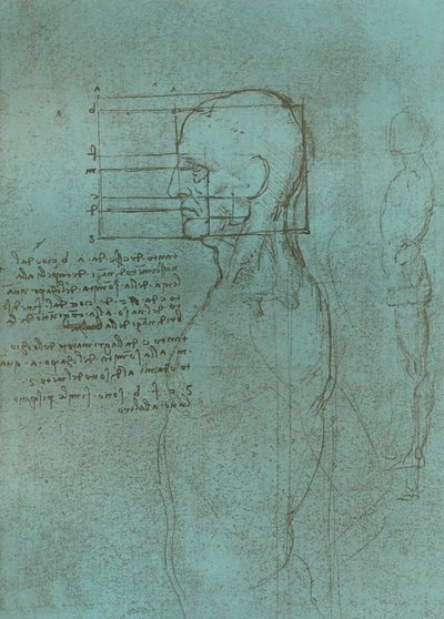 Az emberi alak arányainak elméletét illusztráló rajz, c1472-c1519 1883. alkotó: Leonardo da Vinci